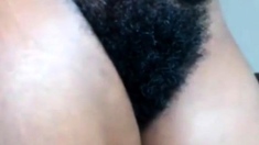 black hairy