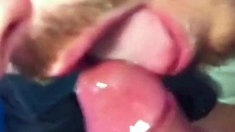 Public WC Blowjob by Amateur Cum Sucker