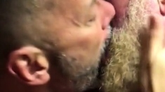 Muscular Daddies Intimately Kissing
