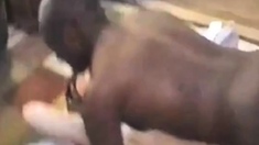 Black Bull Creampies Slut Girl