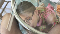 Nerdy Milf Stepmom Blows Stepsons Cock Under The Table