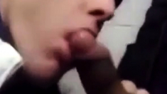 Guy Sucks Off Friend In The Public Toilet Stall